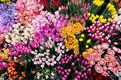 六月新游速报：暗黑4、FF16、街霸6等大作发售