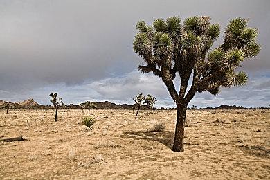 《古惑狼赛车 氮气加速》销量破千万！官方发图庆祝